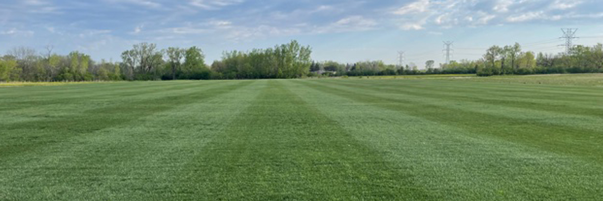 Cog Hill Blog